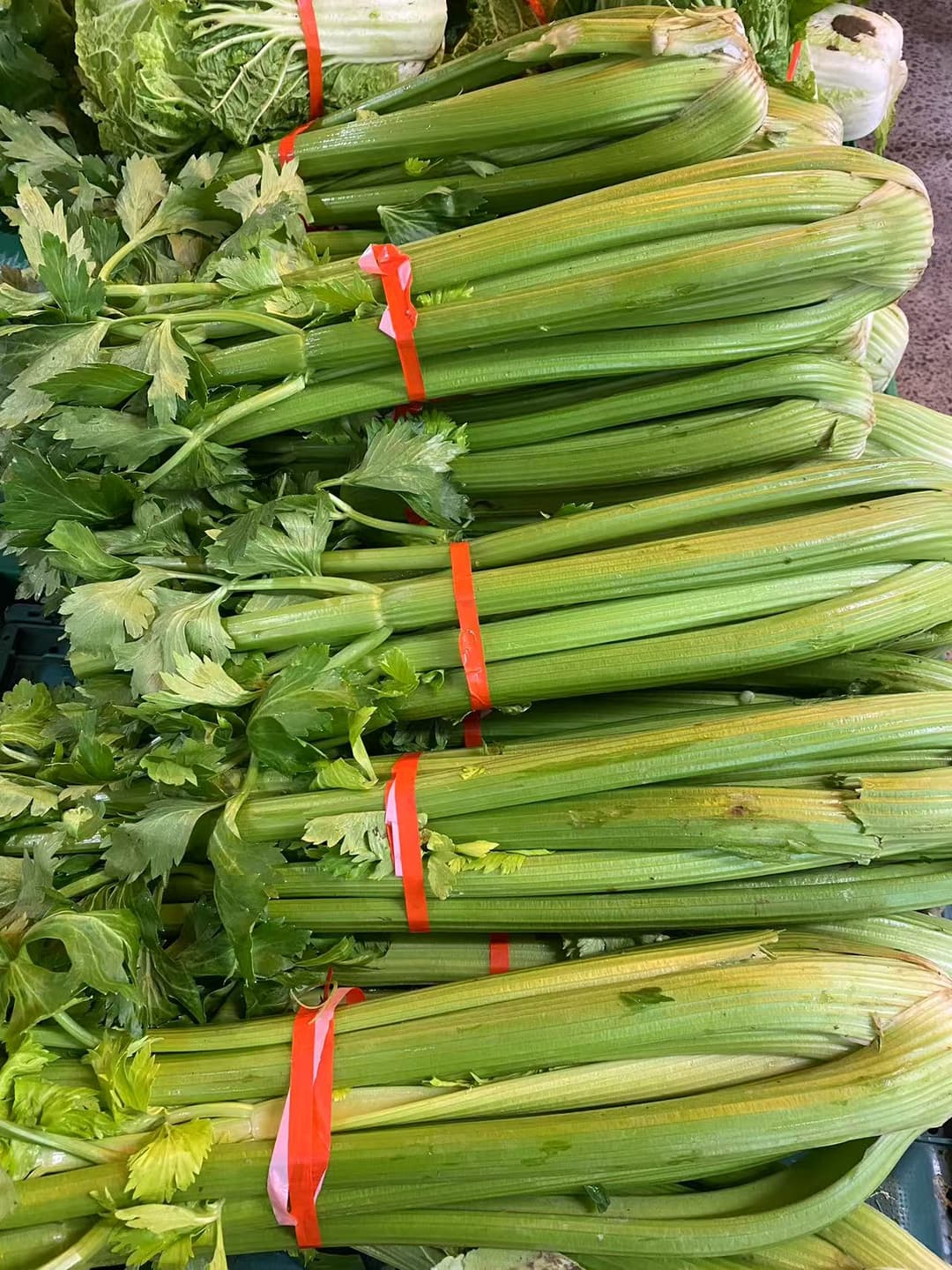 Celery