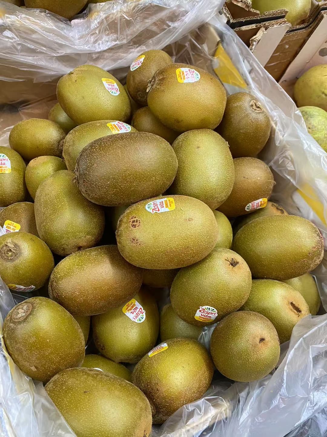 Kiwifruit - Gold