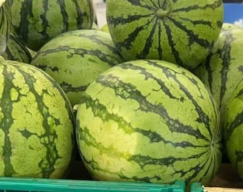 Watermelon