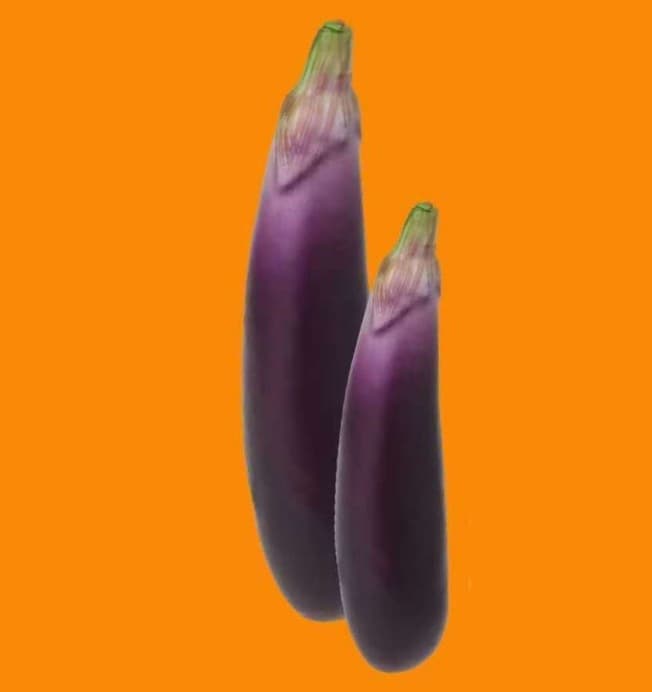 Egg plant - long